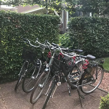 Bbb 3* Haarlem